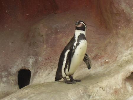 encore a marineland